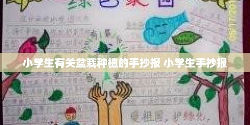 小学生有关盆栽种植的手抄报 小学生手抄报