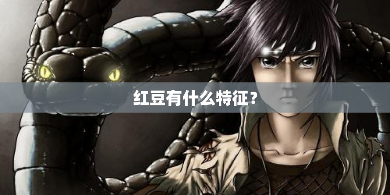 红豆有什么特征？