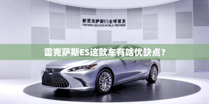 雷克萨斯ES这款车有啥优缺点？