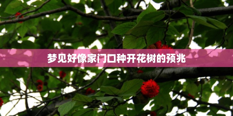 梦见好像家门口种开花树的预兆