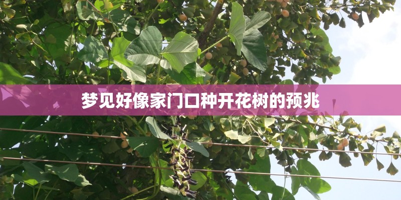 梦见好像家门口种开花树的预兆