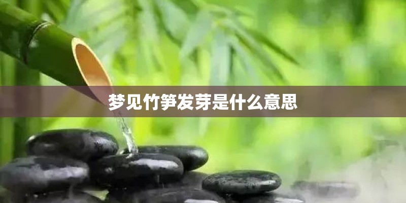 梦见竹笋发芽是什么意思