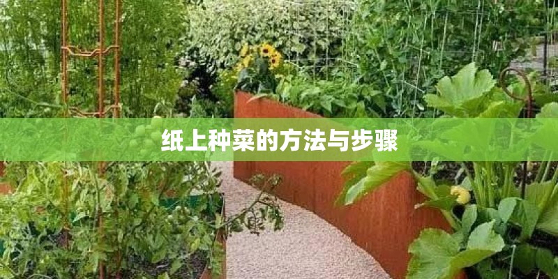 纸上种菜的方法与步骤