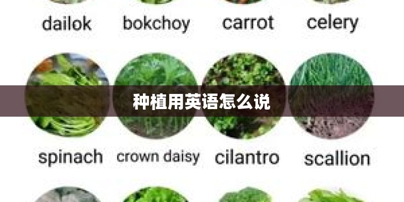 种植用英语怎么说