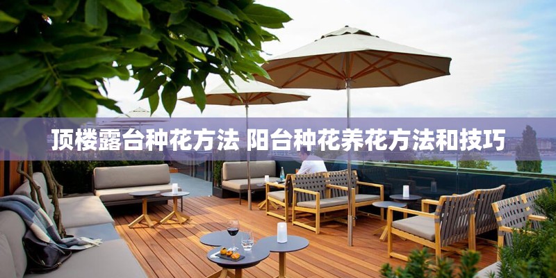 顶楼露台种花方法 阳台种花养花方法和技巧