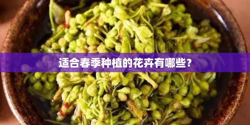 适合春季种植的花卉有哪些? 适合春季种植的花卉有哪些?