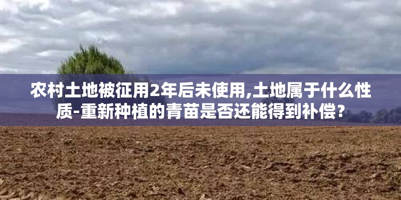 农村土地被征用2年后未使用,土地属于什么性质-重新种植的青苗是否还能得到补偿？