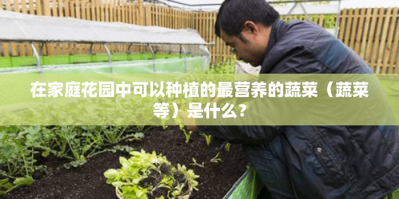 在家庭花园中可以种植的最营养的蔬菜（蔬菜等）是什么？