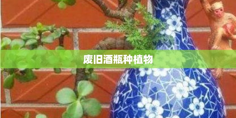 废旧酒瓶种植物