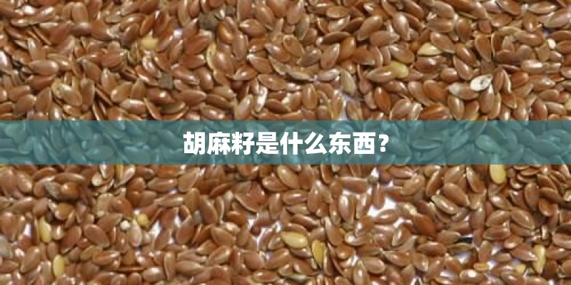胡麻籽是什么东西？