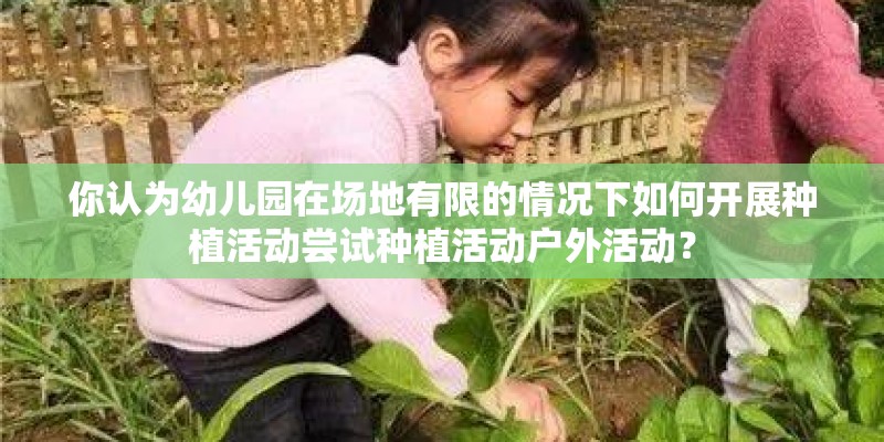 你认为幼儿园在场地有限的情况下如何开展种植活动尝试种植活动户外活动？