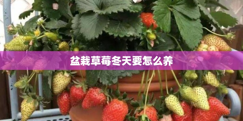 板门店旅游
