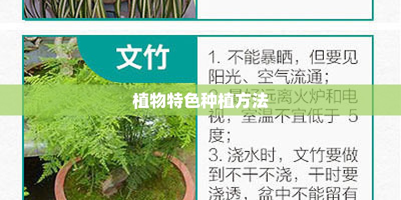 植物特色种植方法