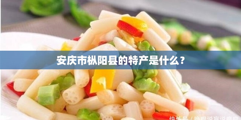 安庆市枞阳县的特产是什么? 安庆市枞阳县的特产是什么?