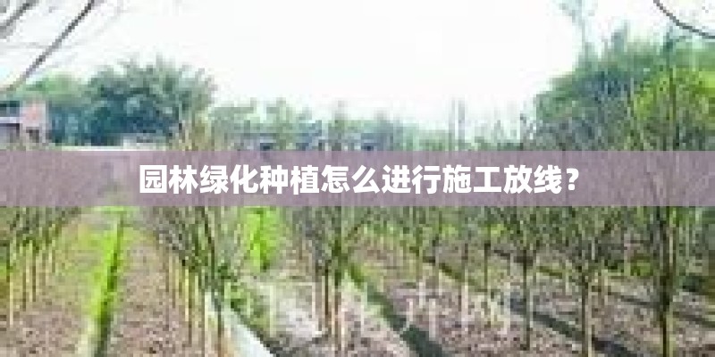 园林绿化种植怎么进行施工放线? 园林绿化种植怎么进行施工放线?