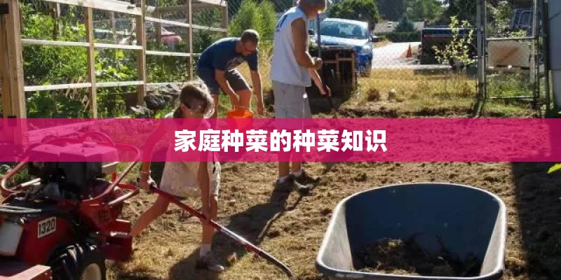 家庭种菜的种菜知识