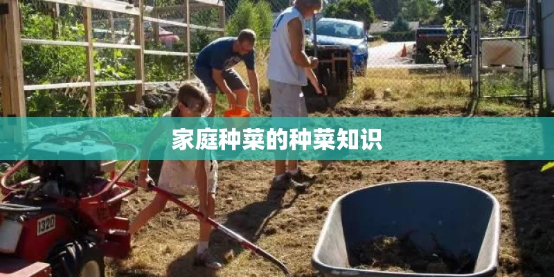 家庭种菜的种菜知识 家庭种菜的种菜知识