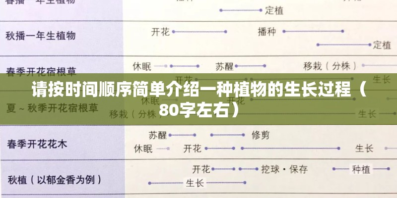 请按时间顺序简单介绍一种植物的生长过程（80字左右）