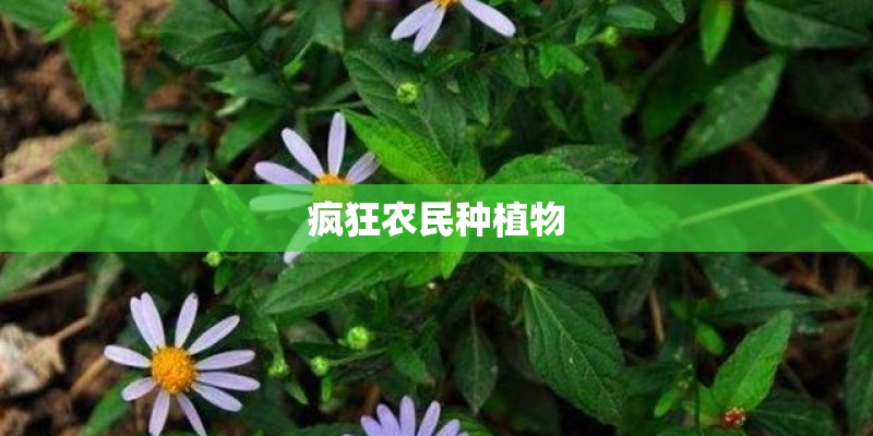 疯狂农民种植物