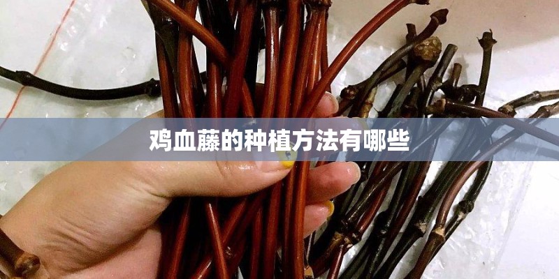鸡血藤的种植方法有哪些