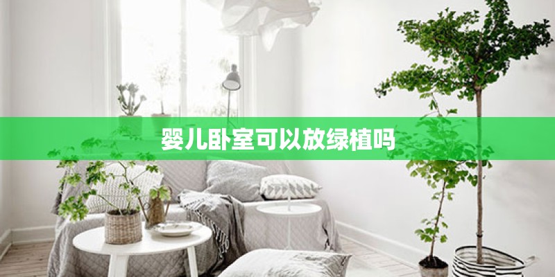 婴儿卧室可以放绿植吗