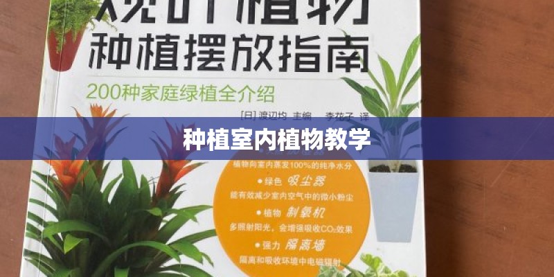 种植室内植物教学