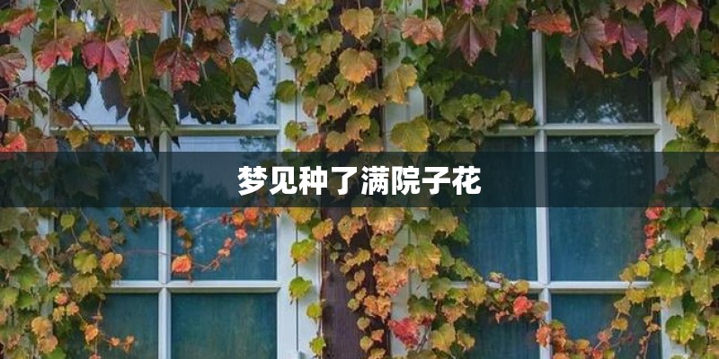 梦见种了满院子花