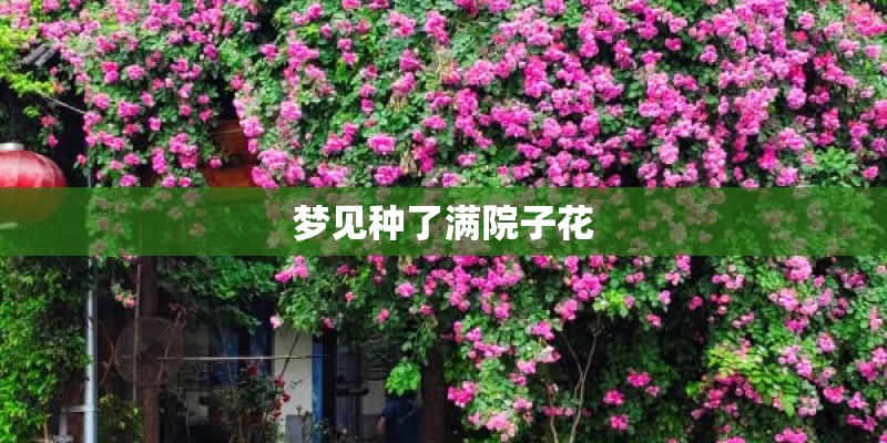 梦见种了满院子花