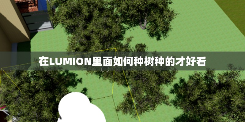 在LUMION里面如何种树种的才好看