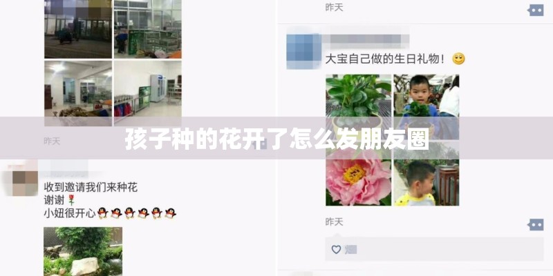 孩子种的花开了怎么发朋友圈