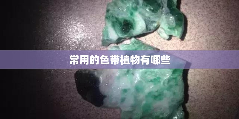 常用的色带植物有哪些