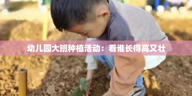 幼儿园大班种植活动：看谁长得高又壮