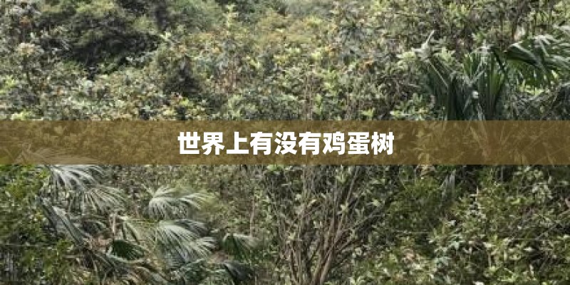 世界上有没有鸡蛋树