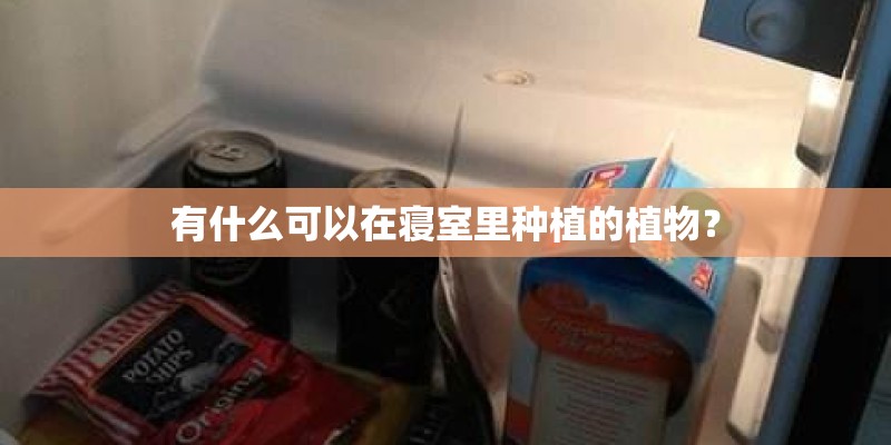 有什么可以在寝室里种植的植物？