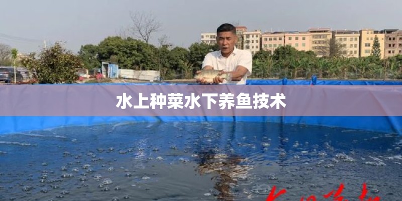 水上种菜水下养鱼技术