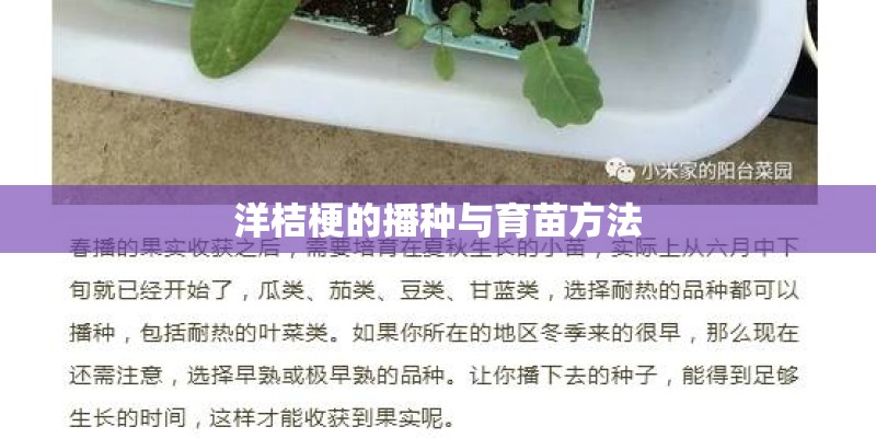 洋桔梗的播种与育苗方法