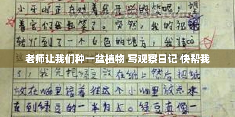 老师让我们种一盆植物 写观察日记 快帮我