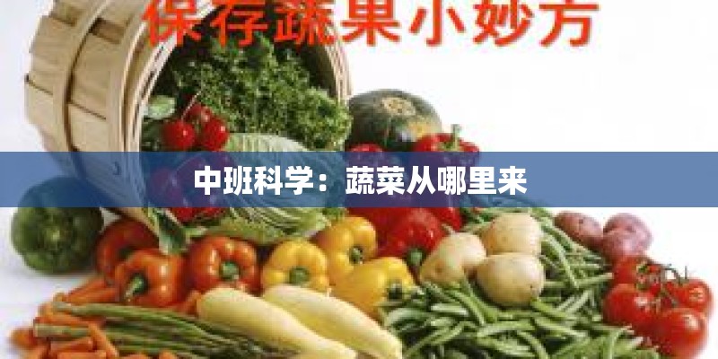 中班科学：蔬菜从哪里来