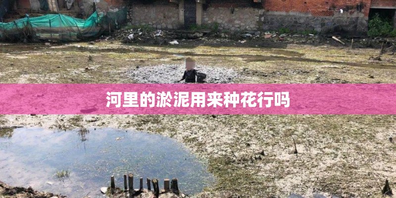 河里的淤泥用来种花行吗