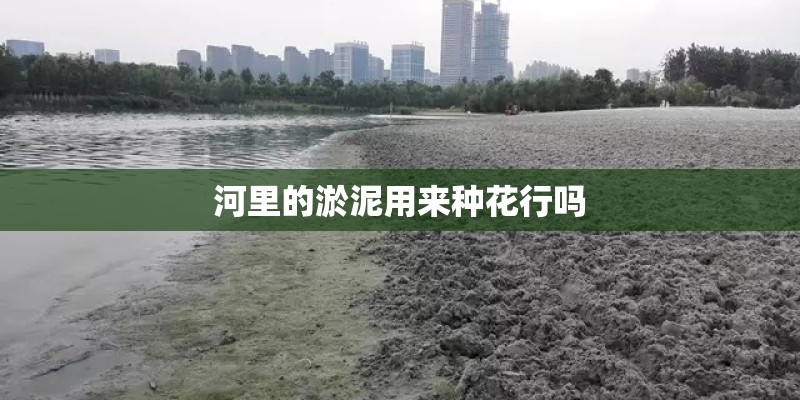 河里的淤泥用来种花行吗 河里的淤泥用来种花行吗