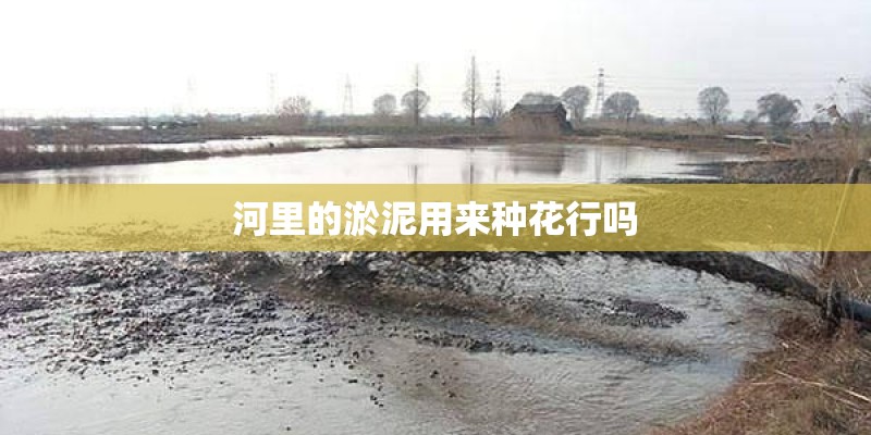 河里的淤泥用来种花行吗 河里的淤泥用来种花行吗