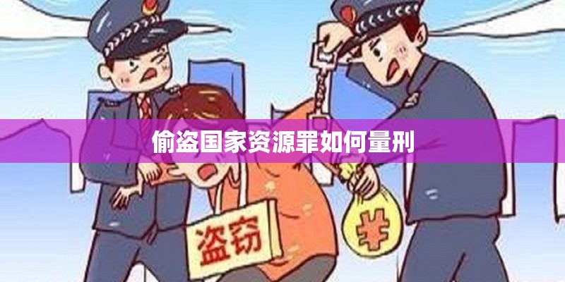 偷盗国家资源罪如何量刑