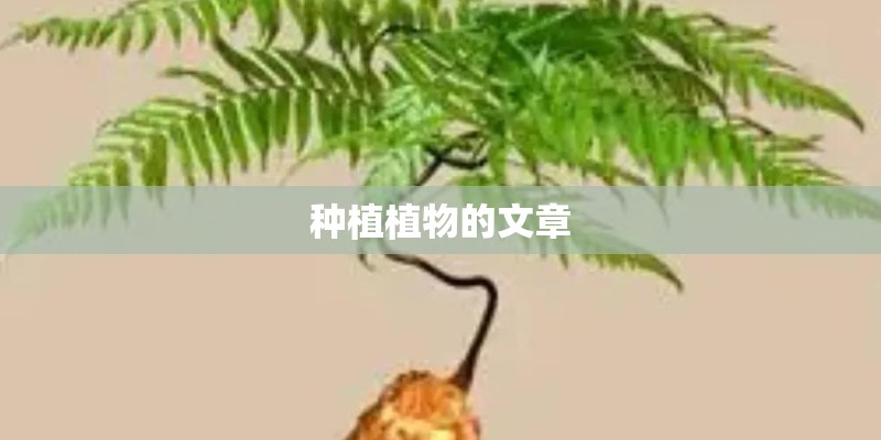 种植植物的文章