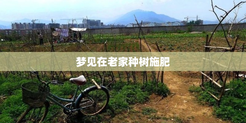 梦见在老家种树施肥