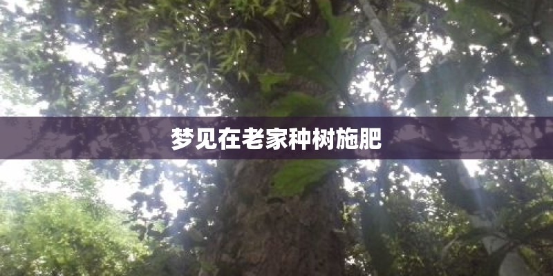 梦见在老家种树施肥