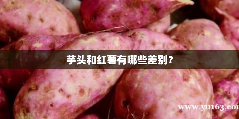 芋头和红薯有哪些差别？