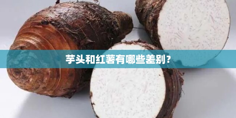 芋头和红薯有哪些差别？