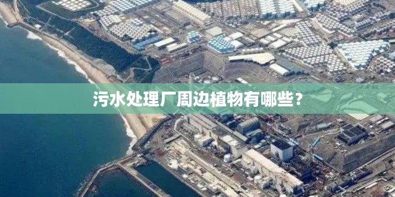 污水处理厂周边植物有哪些？