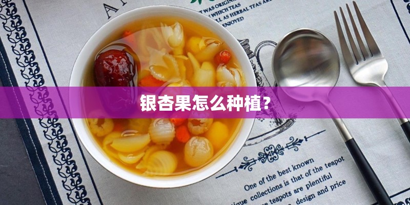 银杏果怎么种植？