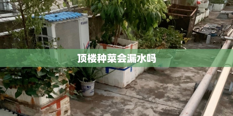 顶楼种菜会漏水吗